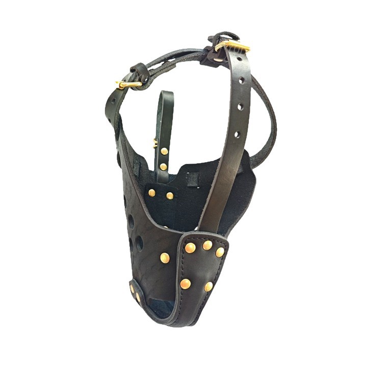 Mastiff Dog Muzzle