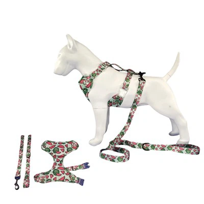 বুদ্ধিমান নরম কুকুর জোতা