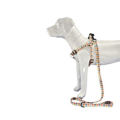 নকশা মুদ্রিত কুকুর জোতা