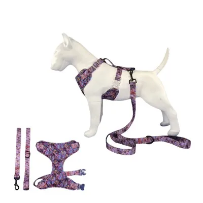 কুকুর জোতা এবং লিশ সেট