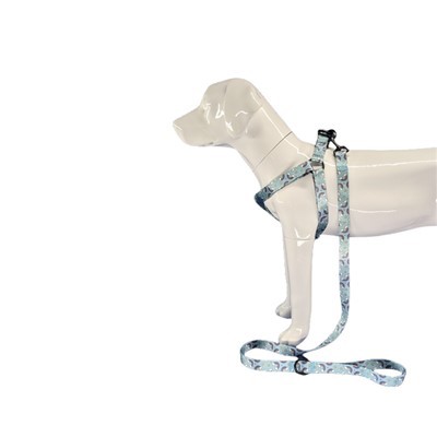 বড় কুকুর জন্য কুকুর জোতা