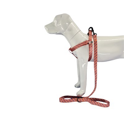 জ্যামিতিক কুকুর জোতা