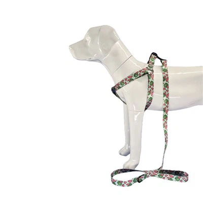 Halter কুকুর জোতা