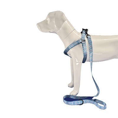 কুকুর জোতা নাইলন ধাপ