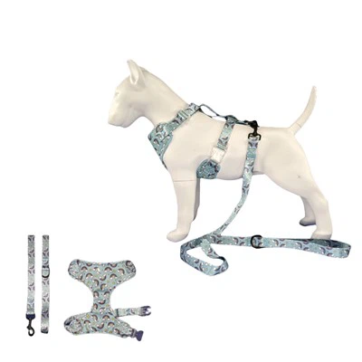 ব্যক্তিগতকৃত কুকুর জোতা