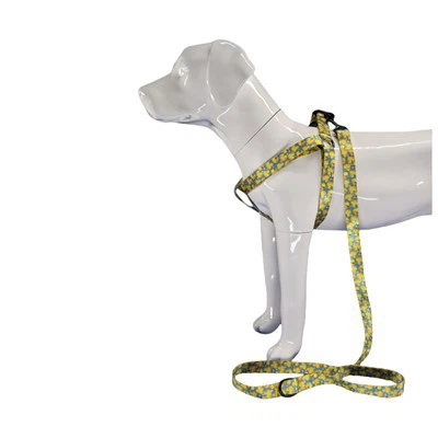 রাবার হাঁস কুকুর জোতা