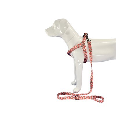 স্ট্রবেরি কুকুর জোতা