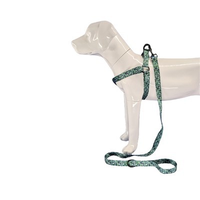 ক্রান্তীয় কুকুর জোতা