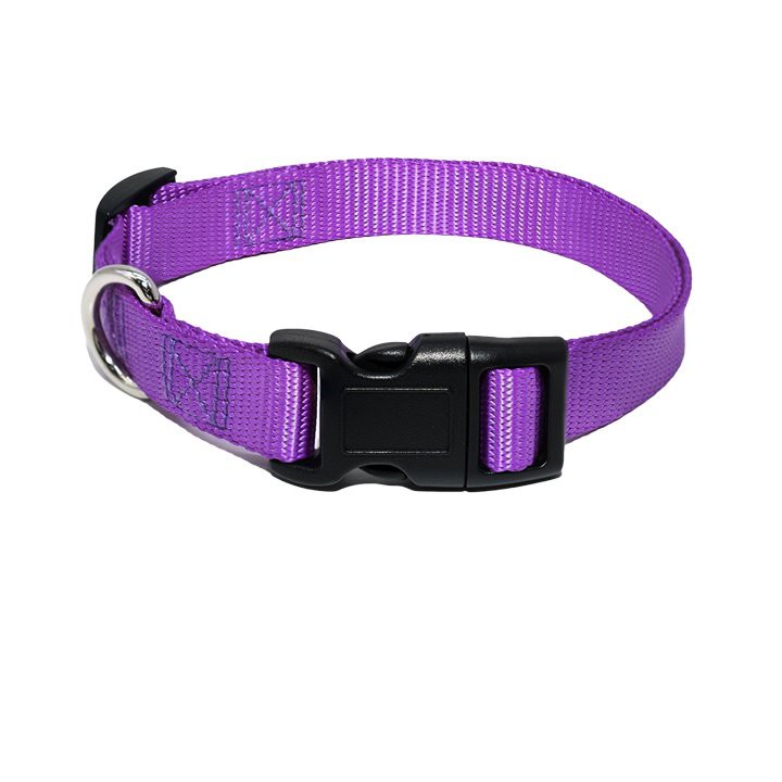 কুকুর এবং বিড়াল জন্য পোষা কলার