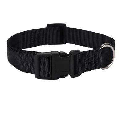 সামঞ্জস্যযোগ্য কুকুর কলার