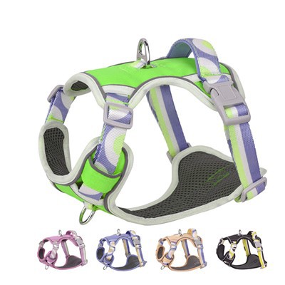 কাস্টম রঙ কোন টান সামঞ্জস্যযোগ্য কুকুর জোতা