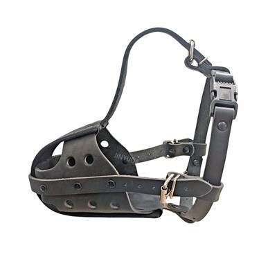 Bulldogs জন্য কুকুর Muzzles