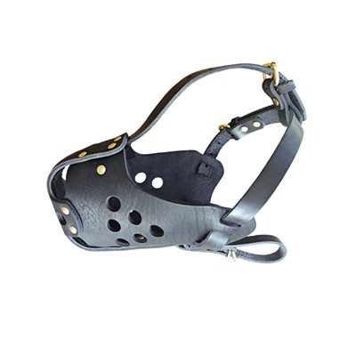 লেদার ডগ ম্যাজল