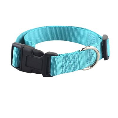 ব্যক্তিগতকৃত কুকুর কলার