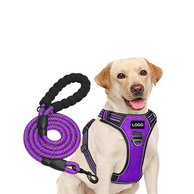 ব্যক্তিগতকৃত লোগো কুকুর জোতা এবং দড়ি কুকুর লেশ সেট